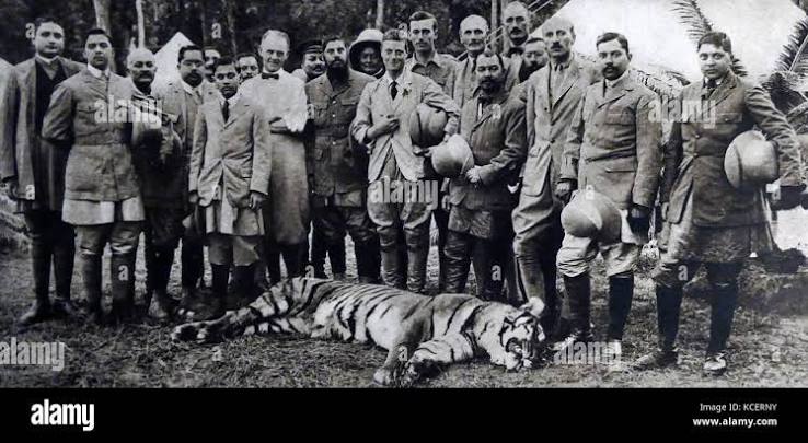 Tiger hunting in india hi-res stock photography and images - Alamy