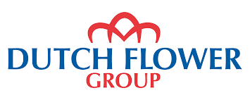 The netherlands are an important producer for cut flowers, as. Dutch Flower Group