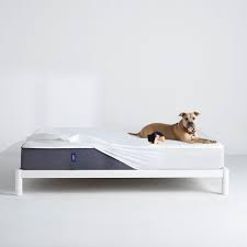 Mattress Protector Waterproof Mattress Cover In 2020 Casper Mattress Mattress Protector Waterproof Mattress