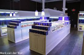 Search for results at wanted.de. Pure Reef In Alpharetta Georgia Is A Well Executed Aquarium Store Aquarium Store Aquarium Fish Store Aquarium Shop