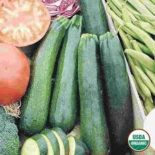 Organic Squash Black Beauty Zucchini Seed In 2020 Fall Garden Vegetables Fall Vegetables Zucchini