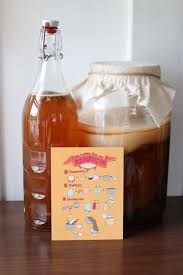 Kombucha Infographic Mini Print Etsy Kombucha How To Brew Kombucha Kombucha How To Make