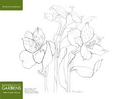 Check spelling or type a new query. Inspire Your Kids With Free Printable Coloring Pages From Museums And Libraries Learning Liftoff