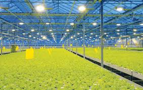 For a quote, contact our grow room consultants today. Lightweight Pulley Bearing For Greenhouse Track Lighting System Altra Industrial Motion Newsroom