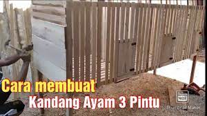 Di mana ayam bangkok dulu pernah menjadi king's chicken alias raja ayam di negaranya thailand. Cara Membuat Kandang Ayam 3 Pintu Kandang Ayam Sederhana Woodworking Diy Kandang Ayam Youtube