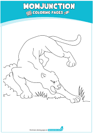 They live by themselves and are rarely seen by humans. 1526130296 Eastern Cougar 16 A4 Coloring Page Free Printable Coloring Pages For Kids