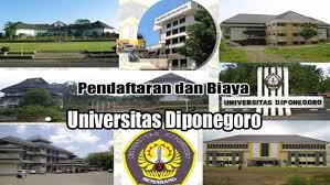 We did not find results for: Universitas Diponegoro Pendaftaran Dan Biaya Undip