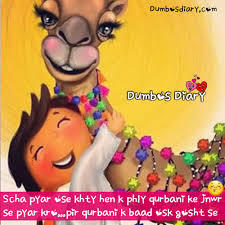 If the animal is younger than this then qurbani is not permissible, if older than this then it is permissible, in fact it is better. Eid Ul Azha Funny Messages Poetry Quotes In Urdu Hindi