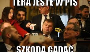 Memy nie zyskują na popularności, bo są prawdziwe. Wojciech Kaluza Memy Pis Rzadzi Na Slasku Samodzielnie Koalicja Obywatelska Mowi O Korupcji Politycznej Dziennik Zachodni