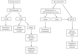 American cancer society, american society for colposcopy and cervical pathology, and 20 galgano m. Treatment Strategy For Cervical Cancer In Pregnancy Modified From Download Scientific Diagram