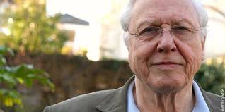 Lili Shaw (@liliroseshaw)