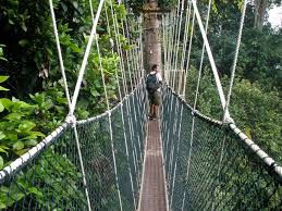 If you still haven't booked your hotel in kuala lumpur, take a look at the list below, you can find your preferred hotel by the budget you wish to. 6d5n Taman Negara Cameron Highlands Taman Negara