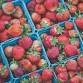 Jams, Jellies and Preserves