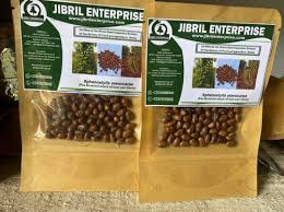 Image result for Sphenostylis