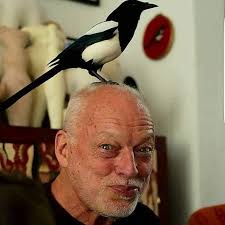 The tunes of Pink Floyd