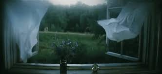 A conversation with aaron rahsaan thomas on 's.w.a.t' and his hope for hollywood natalie daniels Curtains In The Storm Rain Storm Flowers Animated Open Window Pale Grunge Image