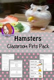 They are inexpensive to buy and a hamster can be a wonderful family member and an excellent pet. Primary Care First Fact Sheet Homes Of Heaven