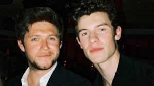 Shawn Mendes Pamer Lagi Latihan Golf, Niall Horan: Lanjutkan, Nak