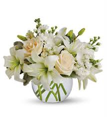 Target.com has been visited by 1m+ users in the past month Orchids And Gerbera Daisies Talking With Flowers