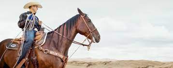 With 150 years of combined saddle making skills, cactus saddlery provides premium saddles, tack, and equine accessories designed, developed and ridden by our endorsees, who boast 38 world champion titles. Cactus Saddlery