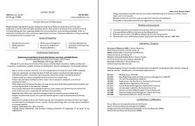 Resume Writing Service Usa Professional Resume Writing Services