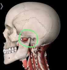 Read about causes, diagnosis, treatment for slipped discs in the neck: Jaw Pain Tmj Disorders Health Source Physical Therapy