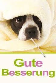 Gute Besserung Gute Besserung Besserung Gute Besserung Lustig