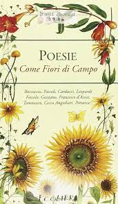 Scarica meravigliose immagini gratuite su campo dei fiori. Poesie Come Fiori Di Campo 9788857100135 Amazon Com Books