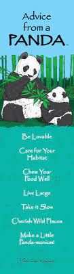 Take It Slow Growth Advice From A Panda Panda Panda Love Panda Day