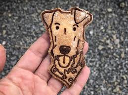 Image result for irský teriér