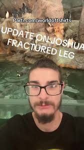 #joshuablock #joshualeg#joshuafryattack#fyp