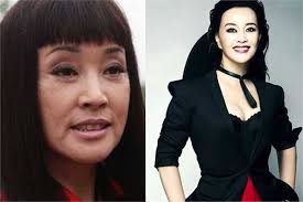 Sự thật giật mình của mỹ nhân không tuổi Lưu Hiểu Khánh, Lý Gia Hân