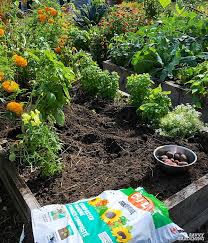 How often should i compost my garden. Garden Soil Amendments 6 Organic Choices To Improve Your Soil