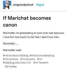 That S It That S The Show Miraculous Ladybug Funny Miraculous Ladybug Memes Miraculous Ladybug Comic