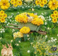 4249870 3cd43 Gif 421 400 Pixels Daffodils Spring Garden Gorgeous Gardens