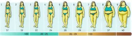 Bmi Chart For Women Calculate Your Body Mass Index With