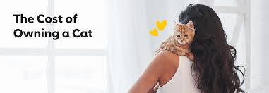 We ship our cat products across canada from lethbridge, ab. The Cost Of Owning A Cat In Canada 2020 The Dog People By Rover Com