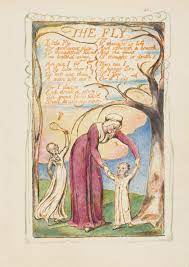 William Blake | Songs of Experience: The Fly | The Metropolitan Museum of  Art