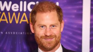 Prince Harry set to 'pull back the curtain' in upcoming Netflix show which  will capture 'the full story of…'