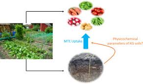 And you can make it yourself in your very own kitchen the globalists would not have put out such. Urban Kitchen Gardens Effect Of The Soil Contamination And Parameters On The Trace Element Accumulation In Vegetables A Review Sciencedirect