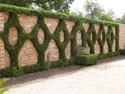 25 Fences That Will Turn Around Heads Ummauerter Garten Garten Und Outdoor Vertikaler Garten