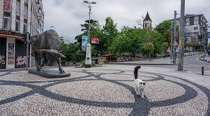 Peki hafta sonu sokağa çıkma yasağı var mı? Pazar Gunu Sokaga Cikma Yasaginin Olmadigi Illerimiz Tamga Turk
