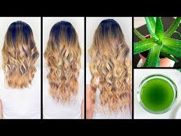 Studies suggest that rosemary essential oil is as effective as minoxidil in improving hair growth (2). Recipes To Make Your Hair Grow Make Aloe Vera Oil At Home Your Hair Grow Like Crazy