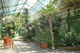 Entdeckt im botanischen garten in outdoor: Mdm Online Location Guide