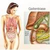 You can download the app inneren organe 3d (anatomie) by ing. 1