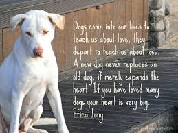 It's perfectly fine to offer your condolences when someone's pet dies by sending a quick text, note, or email, expressing your sympathy with a few comforting words. Words For Loss Of A Pet 7 WorÑ•t ThingÑ• To Sau And What To Say