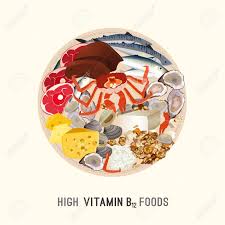 Gute sache für die gesundheit. Hohe Vitamin B12 Lebensmittel Wie Gesunde Meeresfruchte Fleisch Fisch Krabben Muscheln Leber Huttenkase Und Austern Auf Einer Schrottplatte Lizenzfrei Nutzbare Vektorgrafiken Clip Arts Illustrationen Image 83438426