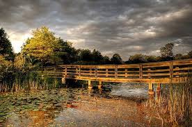 Bridge Grant Woods Lake County Forest Preserves Il By Monica Photography Via Flickr Forest Preserve Lake County Grant Wood