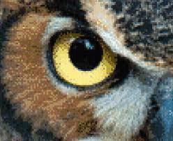 No matter how you began, experienced stitchers know it's fun, relaxing and rewarding. Cross Stitch World Faq