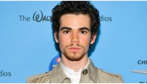 Jo Ann Boyce, Cameron's Grandmother: 5 Fast Facts